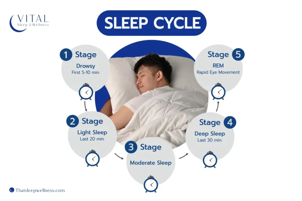 อาการผีอำ_Sleep Cycle