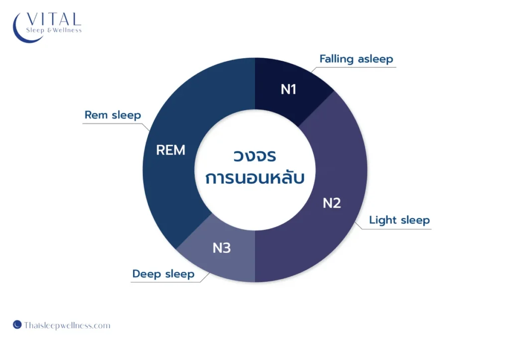 ตรวจการนอนหลับ